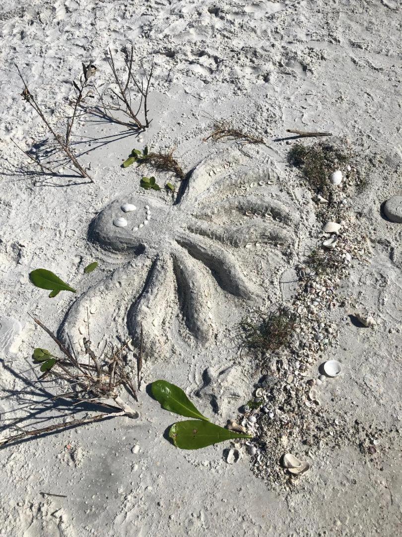 Welcome To The Paradise Fort Myers Beach Ngoại thất bức ảnh